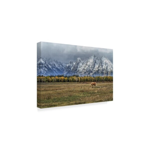 Galloimages Online 'Fine Dining In The Tetons' Canvas Art,30x47